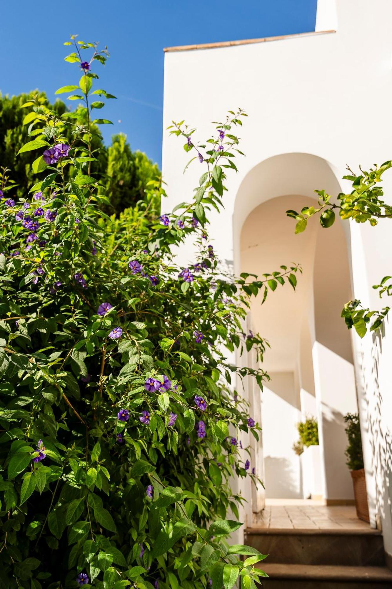 Hotel Senaria Ανακάπρι Εξωτερικό φωτογραφία